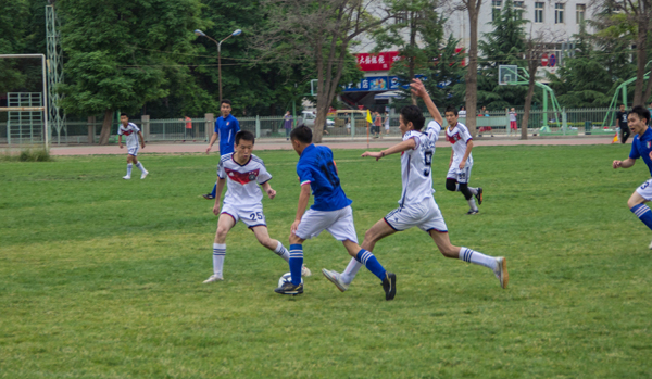 動明星在職 動明星在職