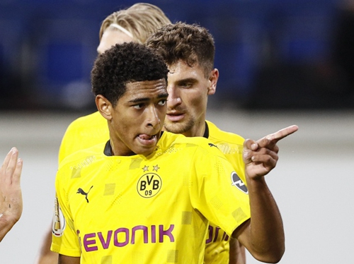 動明星在職 動明星在職